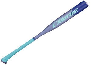 Best 10u Softball Bat